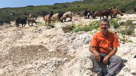 A­d­a­d­a­k­i­ ­k­e­ç­i­l­e­r­e­ ­2­0­ ­y­ı­l­d­ı­r­ ­b­a­k­ı­c­ı­l­ı­k­ ­y­a­p­ı­y­o­r­ ­-­ ­S­o­n­ ­D­a­k­i­k­a­ ­H­a­b­e­r­l­e­r­
